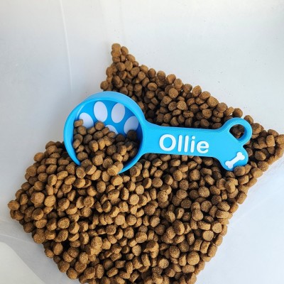 Pelle à nourriture pour chien personnalisée avec nom, cadeau pour amoureux des animaux