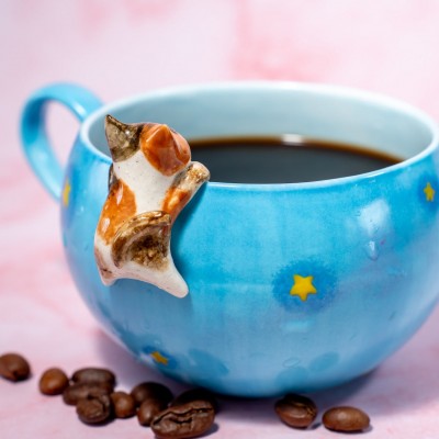 Personalised Pet Figure Mug Birthday Christmas Gift for Pet Lovers