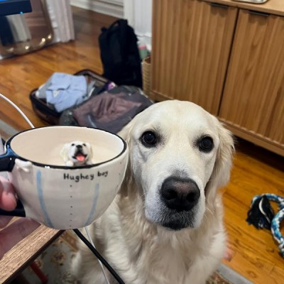 Personalised Pet Figure Mug Birthday Christmas Gift for Pet Lovers